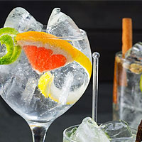 Gin Tonic